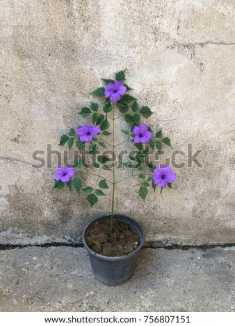little christmas tree with purple flower