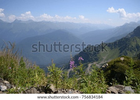 Gorgeous view of the Caucasus Mountains and beautiful mountain flowers