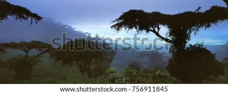 landscape of jungle in gabon Royalty-Free Stock Photo #756911845