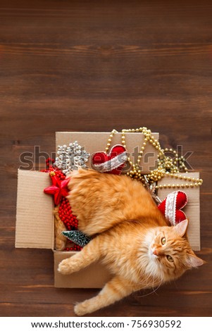 Ginger cat lies in box with Christmas and New Year decorations on wooden background. Fluffy pet is doing to sleep there. Happy Boxing Day concept.