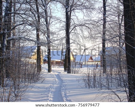 A winter path in the city's snow-covered park leads to residential buildings                     