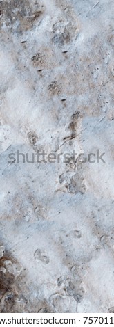 Abstract multicolor grunge background with abstract colored texture. Various color pattern elements. Old vintage scratches, stain, paint splat, brush stroke, dot, spots. Square weathered wall backdrop
