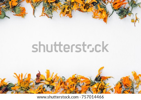 Frame Made of Yellow Dry Flowers, Branches, Leaves and Petals on White Background with Empty Place for Text, Top View. Marigold Dried Herbs Background. Homeopathy Concept