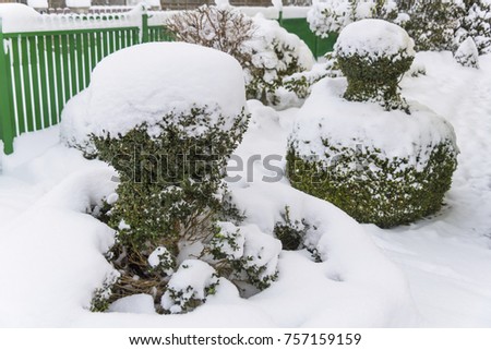 snow-covered ornamental wood