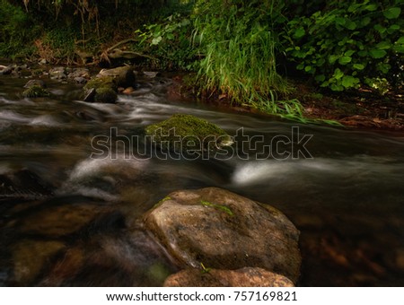 Picturesque and remarkable image of trout creek with mossy stones and scenic surroundings, midlands, Ireland