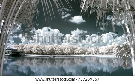 Thai parks and ponds and near infrared photography.