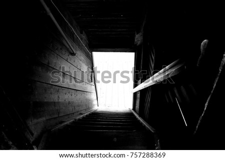 The light in the end of the darkness from the dark room. Down stair to the light. 