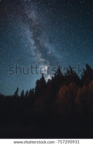 The Milky Way and trees
