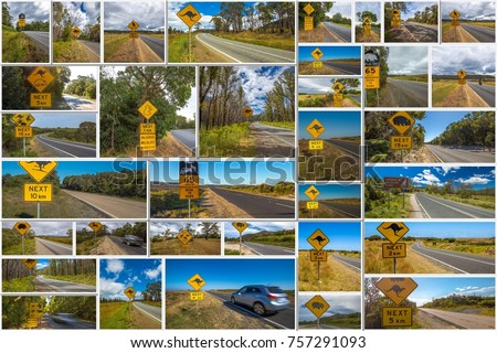 Australian road signs collage of kangaroo, koala, wombat, devil and penguin crossing road in Australian States of Victoria, New South Wales and Tasmania.