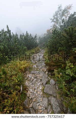 western carpathian mountain tourist trail track on rocky surface in  autumn covered in mist