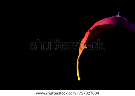 Colored paint splashes isolated on black background