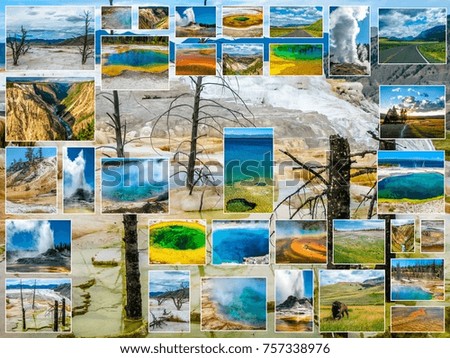 Yellowstone pictures collage of different locations landmark of Yellowstone National Park, Wyoming, United States with dead trees in Mammoth Hot Springs background.