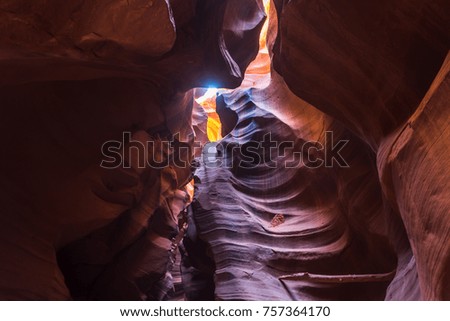 Narrow cleft with wavy walls of sandstone and sunlight breaking through from above, crevice Upper Canyon of Antelope, Utah, USA