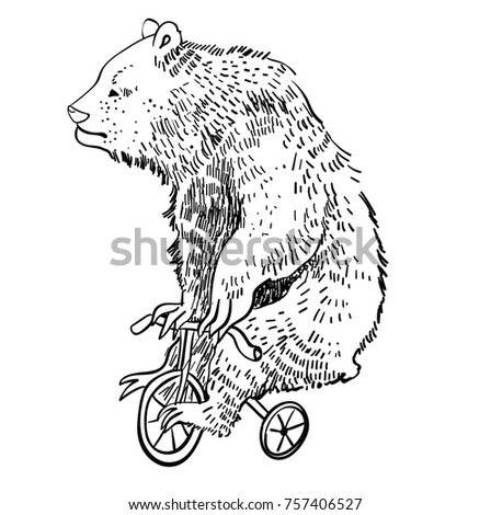circus bear vector illustration