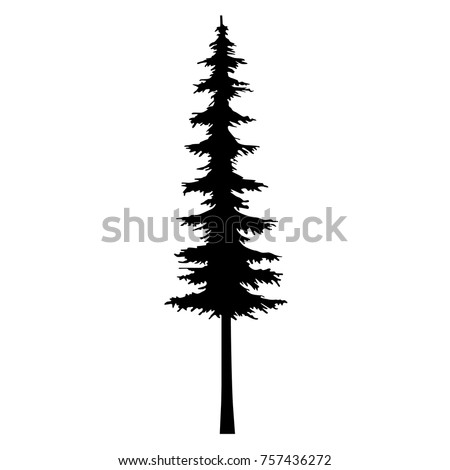 tree pine silhouette vector logo, conifer tree silhouette black color, tree tattoo fir nature  pine design, icon tattoo tribal pine - cut out vector illustration on white background