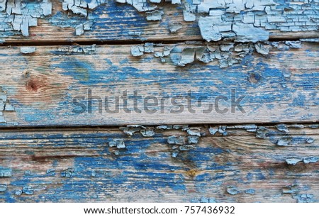 Texture of an old tree, a board with paint, a vintage background