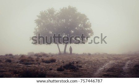 mysterious silhouette under the tree in the mist