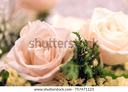 Beautiful roses background Bouquet roses in various colors
