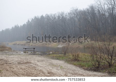 lake in the forest in the rain
