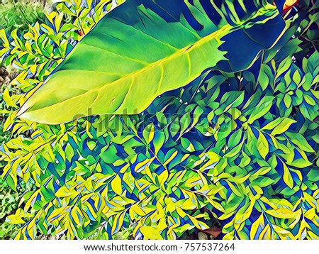 Tropical foliage plant in sunny garden. Summer foliage cartoon digital illustration. Natural leaf ornament. Exotic plants top view. Leaf background. Floral poster or banner template. Tropical garden