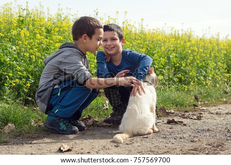 Two happy smilling boys playing with and patting white domestic cat in rural environment. 