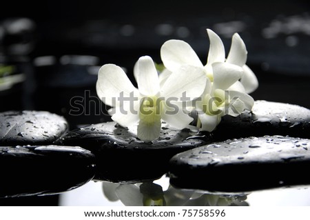 tranquil spa scene -therapy stones with two white orchid