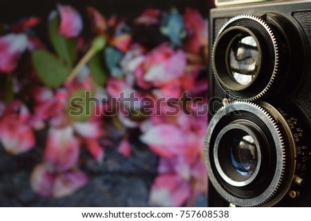  Vintage camera with fallen rose petals in the background