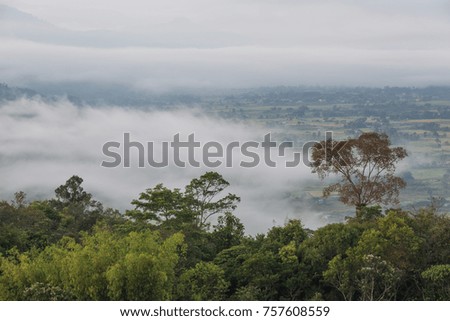 morning view of the valley which can see a small town and villages 