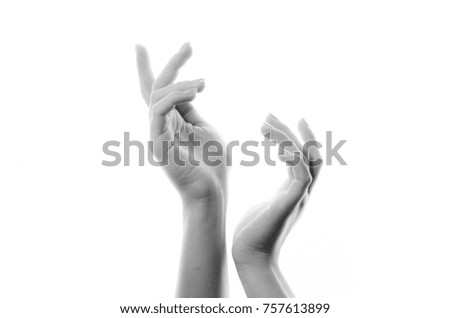 beautiful women's hands