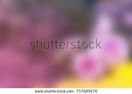 Abstract blurred flower for background using in pink, purple and yellow color.