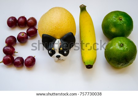 Happy new year 2018 with fruits and dog is the year of the zodiac of dog.The fruit is eaten forever.