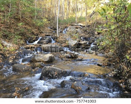 Serene Stream flowing through forest