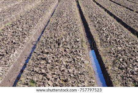 View in perspective Horizontal. Furrows row pattern in a plowed field prepared for planting crops in spring. 