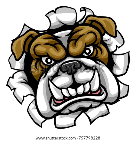 A mean bulldog dog angry animal sports mascot cartoon character breaking through the background