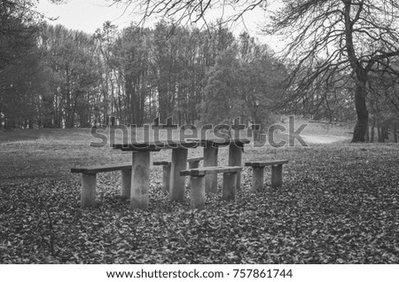 Wooden benches and table in the a beautiful park without people 