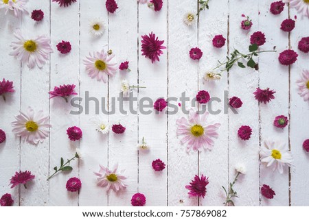 Multicolored flowers on a white wooden background