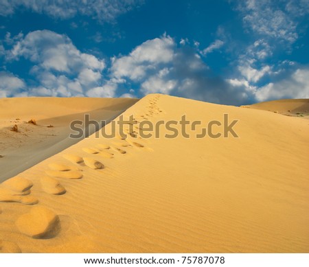 Footprints in the desert or beach sand