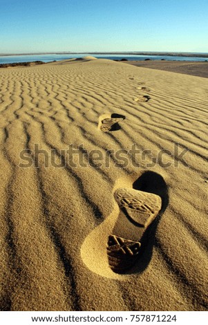 Footprints in sand - Desert