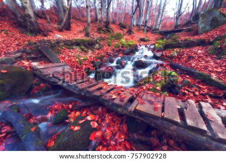 Autumn landscape with stream in forest and wooden bridge. Fantastic carpet of yellow leaves in the forest glowing sunlight. Dramatic scene and picturesque picture
