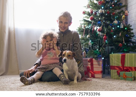 Boy and little girl with a breed of Jack-cherry scattered near a Christmas tree, Children playing with a dog in the room. Brother and sister are happy in Christmas!