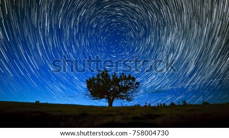 North Star Centered Above Juniper Tree Night Sky Star Trails Over Oregon