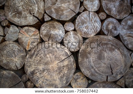 Wooden background from sections of tree trunk