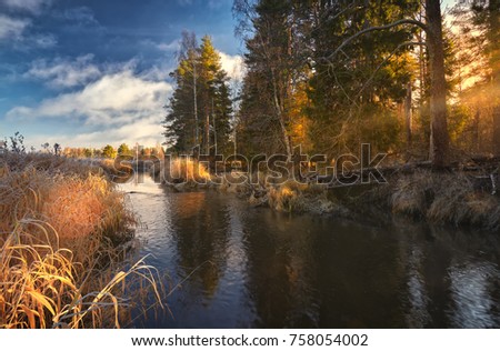 The forest river in the sunny November afternoon with the beautiful sky