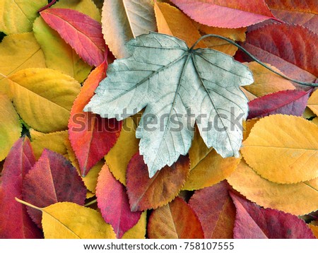 Fallen autumn leaves. Autumn background.