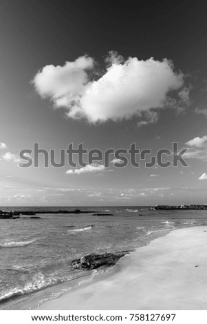 Black and white seascape with a sandy beach and cottony clouds
