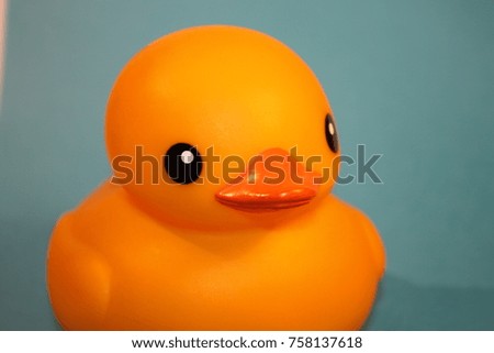 Rubber duck, toy