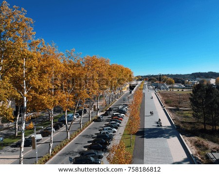 pedestrian walk under trees in autumn by drone
