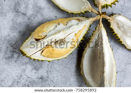 Durian on a gray background