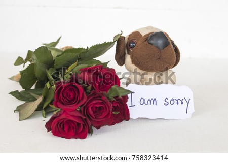 i am sorry message card with dog toy and bundle red rose on white
