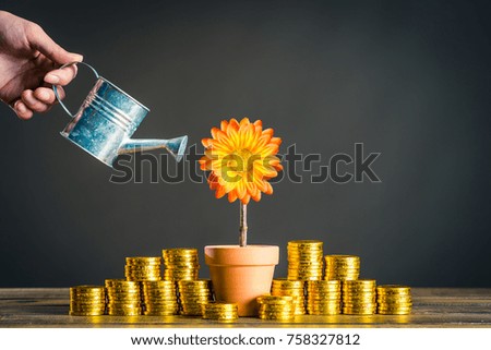 plants and lot of gold coins